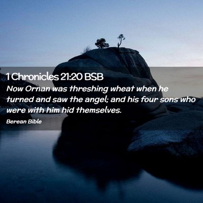 Picture 02 - 1 Chronicles 21:20 BSB - Now Ornan was threshing wheat when he turned and - Bible Verse Picture