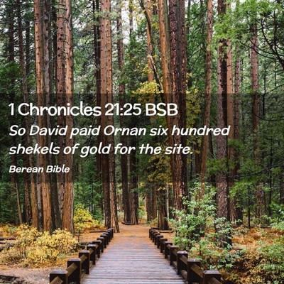 Picture 02 - 1 Chronicles 21:25 BSB - So David paid Ornan six hundred shekels of gold - Bible Verse Picture