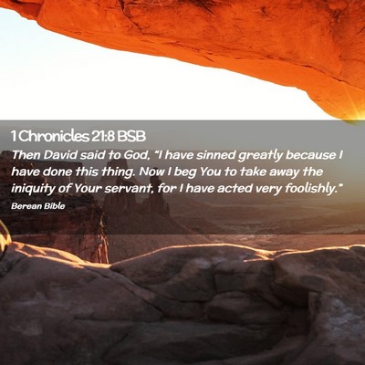 Picture 02 - 1 Chronicles 21:8 BSB - Then David said to God, “I have sinned greatly - Bible Verse Picture