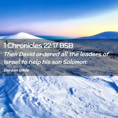 Picture 02 - 1 Chronicles 22:17 BSB - Then David ordered all the leaders of Israel to - Bible Verse Picture