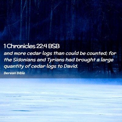 Picture 02 - 1 Chronicles 22:4 BSB - and more cedar logs than could be counted; for - Bible Verse Picture