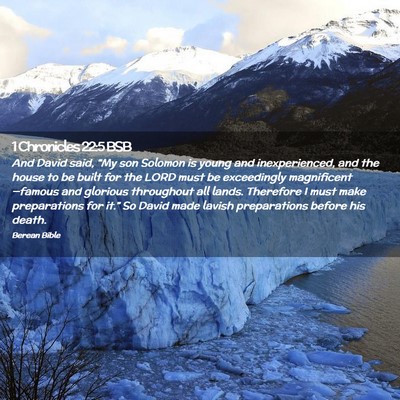 Picture 02 - 1 Chronicles 22:5 BSB - And David said, “My son Solomon is young and - Bible Verse Picture