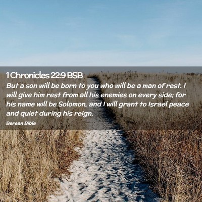 Picture 02 - 1 Chronicles 22:9 BSB - But a son will be born to you who will be a man - Bible Verse Picture
