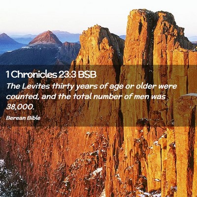 Picture 02 - 1 Chronicles 23:3 BSB - The Levites thirty years of age or older were - Bible Verse Picture