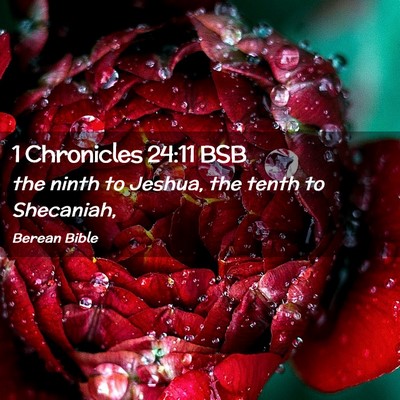 Picture 02 - 1 Chronicles 24:11 BSB - the ninth to Jeshua, the tenth to - Bible Verse Picture