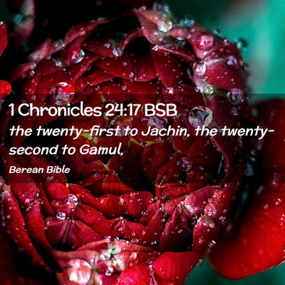Picture 02 - 1 Chronicles 24:17 BSB - the twenty-first to Jachin, the twenty-second to - Bible Verse Picture