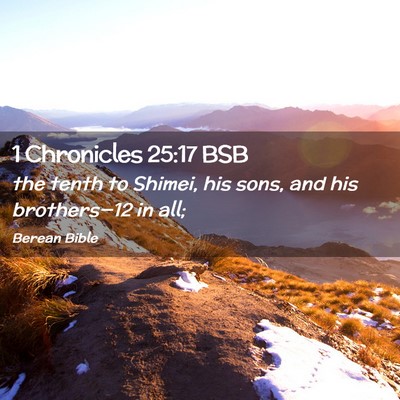 Picture 02 - 1 Chronicles 25:17 BSB - the tenth to Shimei, his sons, and his - Bible Verse Picture