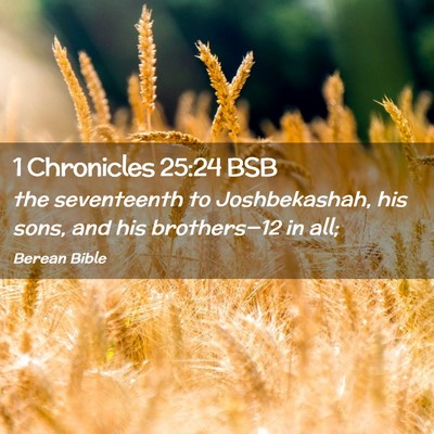 Picture 02 - 1 Chronicles 25:24 BSB - the seventeenth to Joshbekashah, his sons, and - Bible Verse Picture