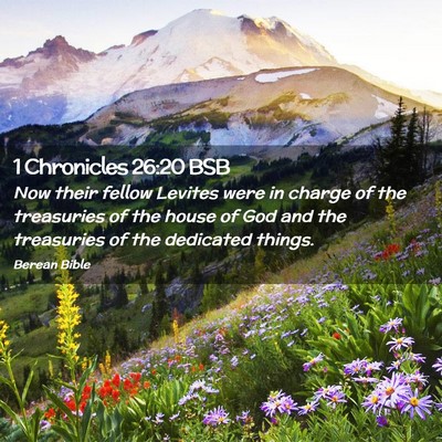 Picture 02 - 1 Chronicles 26:20 BSB - Now their fellow Levites were in charge of the - Bible Verse Picture