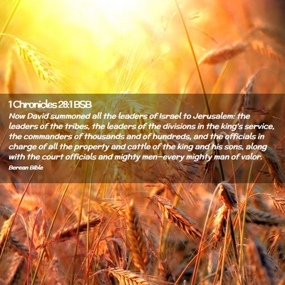 Picture 02 - 1 Chronicles 28:1 BSB - Now David summoned all the leaders of Israel to - Bible Verse Picture