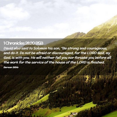 Picture 02 - 1 Chronicles 28:20 BSB - David also said to Solomon his son, “Be strong - Bible Verse Picture