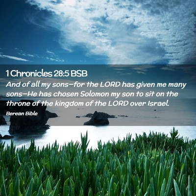 Picture 02 - 1 Chronicles 28:5 BSB - And of all my sons—for the LORD has given me - Bible Verse Picture