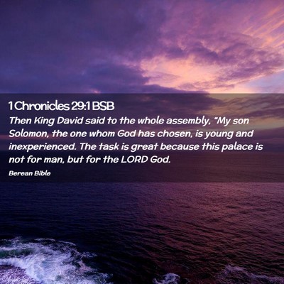 Picture 02 - 1 Chronicles 29:1 BSB - Then King David said to the whole assembly, “My - Bible Verse Picture