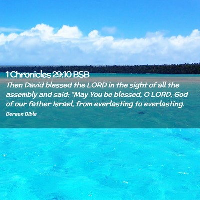 Picture 02 - 1 Chronicles 29:10 BSB - Then David blessed the LORD in the sight of all - Bible Verse Picture