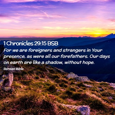 Picture 02 - 1 Chronicles 29:15 BSB - For we are foreigners and strangers in Your - Bible Verse Picture