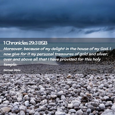 Picture 02 - 1 Chronicles 29:3 BSB - Moreover, because of my delight in the house of - Bible Verse Picture