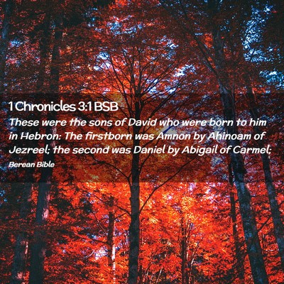 Picture 02 - 1 Chronicles 3:1 BSB - These were the sons of David who were born to him - Bible Verse Picture