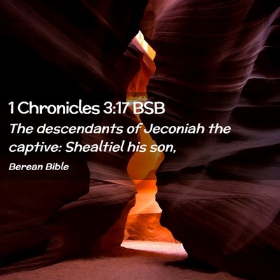 Picture 02 - 1 Chronicles 3:17 BSB - The descendants of Jeconiah the captive: - Bible Verse Picture