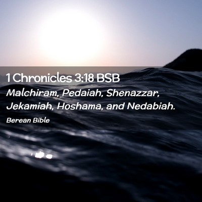 Picture 02 - 1 Chronicles 3:18 BSB - Malchiram, Pedaiah, Shenazzar, Jekamiah, Hoshama, - Bible Verse Picture