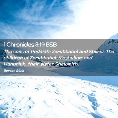 Picture 02 - 1 Chronicles 3:19 BSB - The sons of Pedaiah: Zerubbabel and Shimei. The - Bible Verse Picture