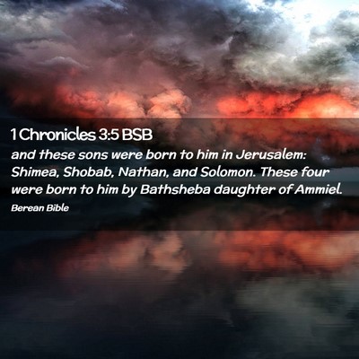 Picture 02 - 1 Chronicles 3:5 BSB - and these sons were born to him in Jerusalem: - Bible Verse Picture