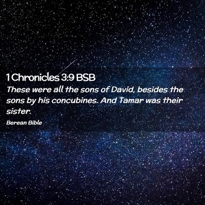 Picture 02 - 1 Chronicles 3:9 BSB - These were all the sons of David, besides the - Bible Verse Picture