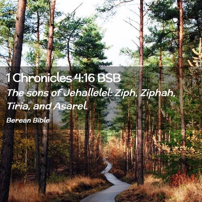 Picture 02 - 1 Chronicles 4:16 BSB - The sons of Jehallelel: Ziph, Ziphah, Tiria, and - Bible Verse Picture