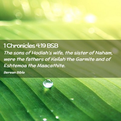 Picture 02 - 1 Chronicles 4:19 BSB - The sons of Hodiah’s wife, the sister of Naham, - Bible Verse Picture