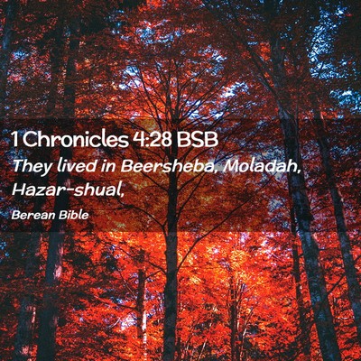 Picture 02 - 1 Chronicles 4:28 BSB - They lived in Beersheba, Moladah, - Bible Verse Picture