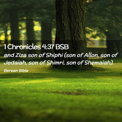 Picture 02 - 1 Chronicles 4:37 BSB - and Ziza son of Shiphi (son of Allon, son of - Bible Verse Picture
