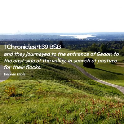Picture 02 - 1 Chronicles 4:39 BSB - and they journeyed to the entrance of Gedor, to - Bible Verse Picture