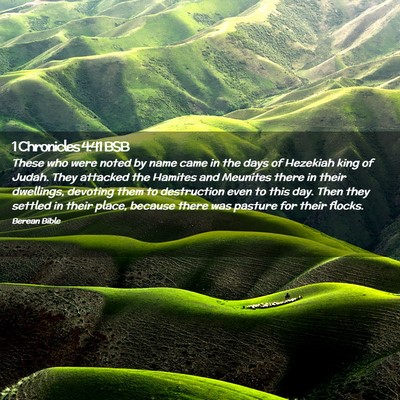 Picture 02 - 1 Chronicles 4:41 BSB - These who were noted by name came in the days of - Bible Verse Picture
