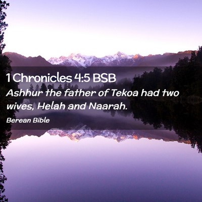 Picture 02 - 1 Chronicles 4:5 BSB - Ashhur the father of Tekoa had two wives, Helah - Bible Verse Picture
