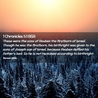 Picture 02 - 1 Chronicles 5:1 BSB - These were the sons of Reuben the firstborn of - Bible Verse Picture