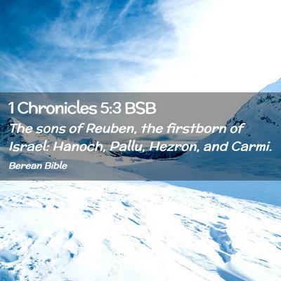 Picture 02 - 1 Chronicles 5:3 BSB - The sons of Reuben, the firstborn of Israel: - Bible Verse Picture
