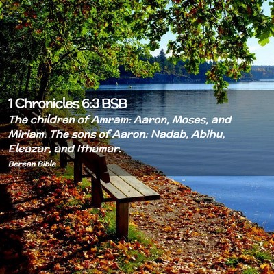 Picture 02 - 1 Chronicles 6:3 BSB - The children of Amram: Aaron, Moses, and Miriam. - Bible Verse Picture