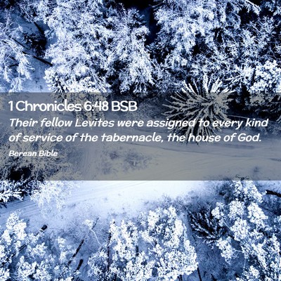 Picture 02 - 1 Chronicles 6:48 BSB - Their fellow Levites were assigned to every kind - Bible Verse Picture