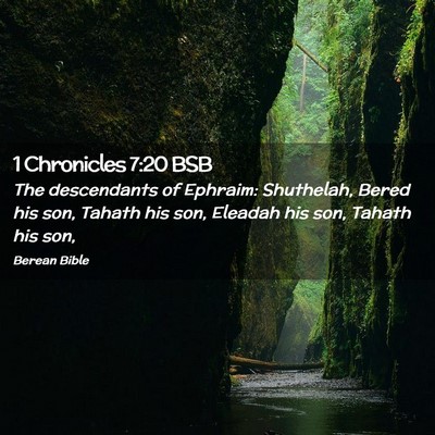 Picture 02 - 1 Chronicles 7:20 BSB - The descendants of Ephraim: Shuthelah, Bered his - Bible Verse Picture