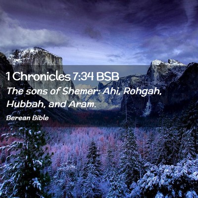 Picture 02 - 1 Chronicles 7:34 BSB - The sons of Shemer: Ahi, Rohgah, Hubbah, and - Bible Verse Picture