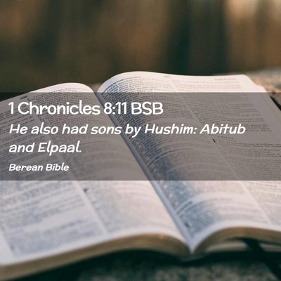 Picture 02 - 1 Chronicles 8:11 BSB - He also had sons by Hushim: Abitub and - Bible Verse Picture