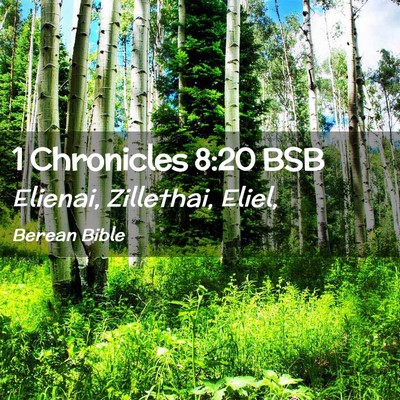Picture 02 - 1 Chronicles 8:20 BSB - Elienai, Zillethai, - Bible Verse Picture