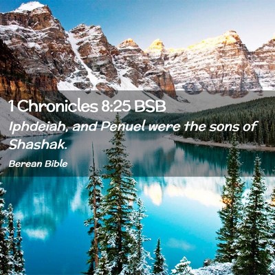 Picture 02 - 1 Chronicles 8:25 BSB - Iphdeiah, and Penuel were the sons of - Bible Verse Picture