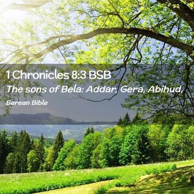 Picture 02 - 1 Chronicles 8:3 BSB - The sons of Bela: Addar, Gera, - Bible Verse Picture