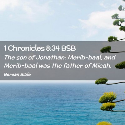 Picture 02 - 1 Chronicles 8:34 BSB - The son of Jonathan: Merib-baal, and Merib-baal - Bible Verse Picture