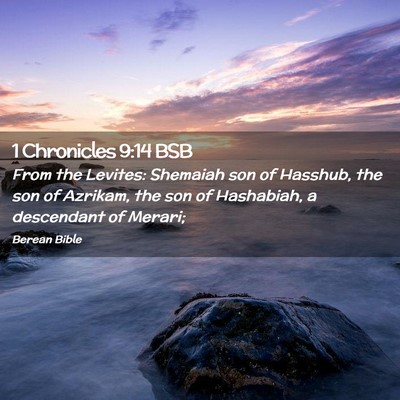 Picture 02 - 1 Chronicles 9:14 BSB - From the Levites: Shemaiah son of Hasshub, the - Bible Verse Picture