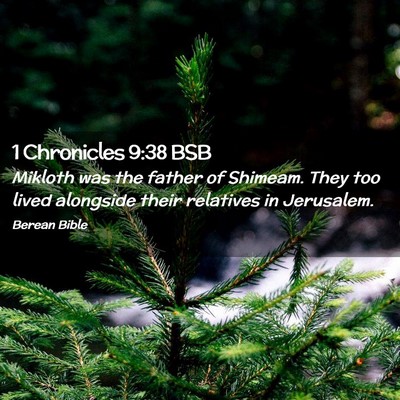 Picture 02 - 1 Chronicles 9:38 BSB - Mikloth was the father of Shimeam. They too lived - Bible Verse Picture