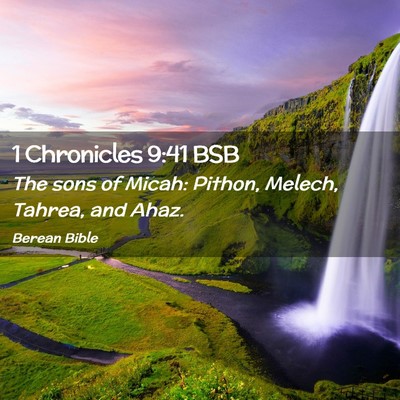 Picture 02 - 1 Chronicles 9:41 BSB - The sons of Micah: Pithon, Melech, Tahrea, and - Bible Verse Picture