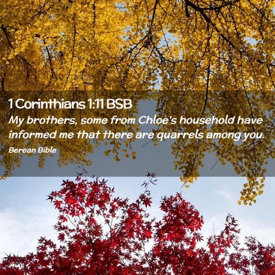 Picture 02 - 1 Corinthians 1:11 BSB - My brothers, some from Chloe’s household have - Bible Verse Picture