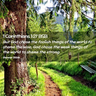 Picture 02 - 1 Corinthians 1:27 BSB - But God chose the foolish things of the world to - Bible Verse Picture