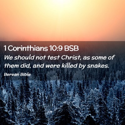 Picture 02 - 1 Corinthians 10:9 BSB - We should not test Christ, as some of them did, - Bible Verse Picture